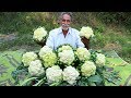 Cauliflower Masala Curry | Cauliflower Curry | Gobi Masala Curry By Grandpa Kitchen