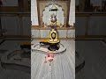 03/05/2026 mahadev today's morning arti Darshan. Jay mahadev #youtube #shots.