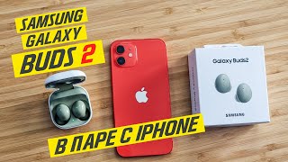 Samsung Galaxy Buds 2 функции и работа на iOS (Apple iPhone) | Бадс2 и айфон