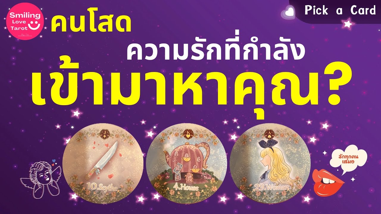 Pick a Card :  คนโสด ความรักที่กำลังเข้ามาหาคุณ? 💐🧩🙈 : Timeless FULL EP61