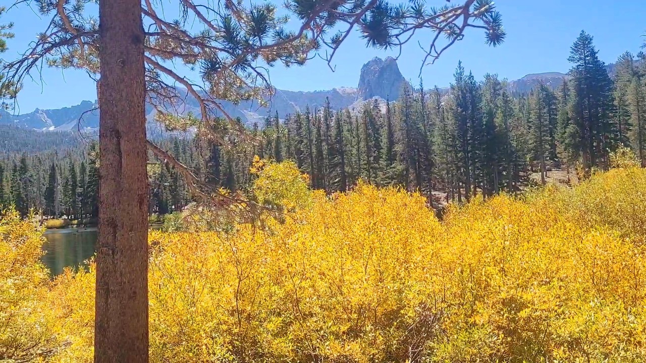 Mammoth Lakes Autumn Gold: The Ultimate California Fall Road Trip & Hikes