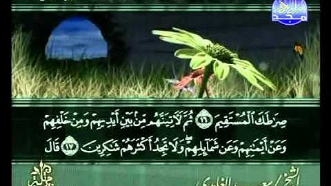 المصحف المرتل للقارئ الشيخ سعد الغامدي | الجزء ( 8 )