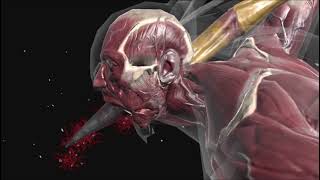 Dvorahs X-Ray Mk Mobile X-Ray De Dvorah Mk Mobil