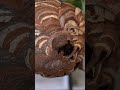 Saving a Hornet Nest From Extermination