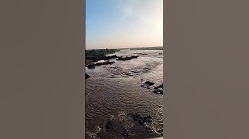 5 February 2025#shortvideo #vairalvideo #shots #trending videos #ganga #youtubeshorts #subscribe