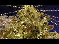 Чудо в Рождество. Рождественская ель у Царскосельского дворца. Miracle at Christmas. Christmas tree.