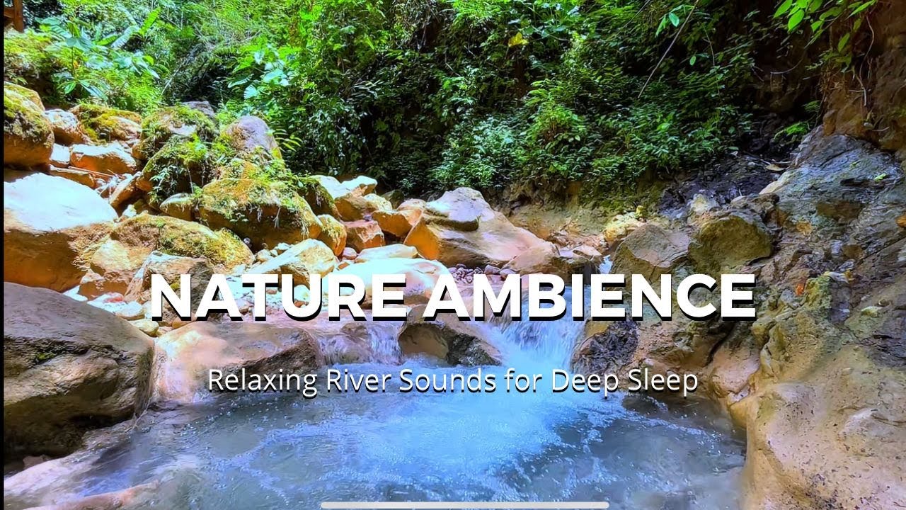 Peaceful Nature River Sounds for Sleeping - Forest River - Relaxing ...