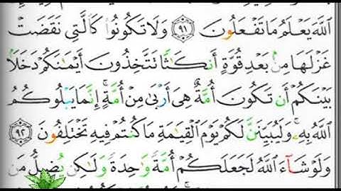 مصحف التجويد صفحة 277  إبراهيم الأخضر 🕋🕋