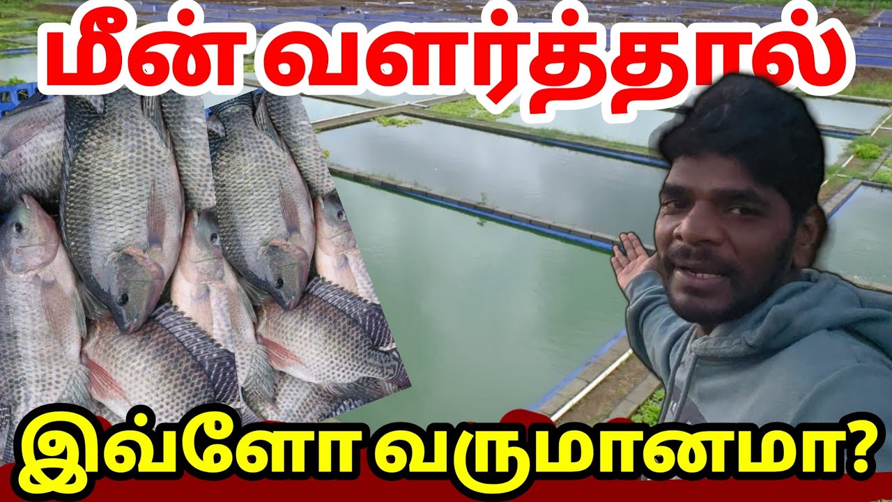 🔴 இரணைமடு ஜப்பானுக்கு வந்த மவுசு 