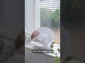 여름 필수템? 공간활용 접이식 선풍기 #여름필수템 #공간활용 #접이식 #선풍기