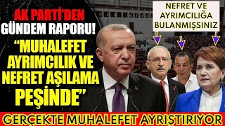 Çarpici Rapor... Asil Muhalefet Ayriştiriyor