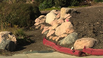 Using Boulders in the Landscape