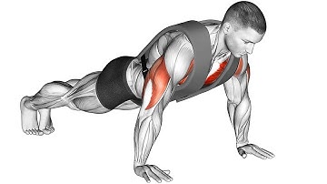 15 Push-Ups Variations for Your Workout