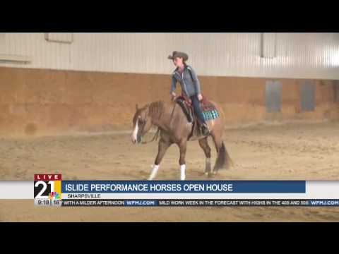 Islide Performance Horses Sharpsville You Islide Performance Horses Sharpsville