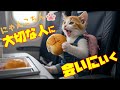 ついに涙の再会！？にゃんこちんが会いに行った相手は・・