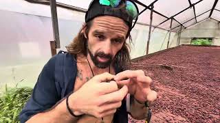 Walkthrough Of My Costa Rican Homestead- Soon To Be The Home Of The First Felztower