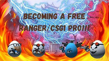 Becoming a Free Ranger/CSG1 PRO in Shell Shockers | GameLodge
