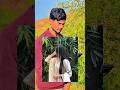 soft glow gemini prompt | mobile ai photo editing prompts | trending viral photo editing