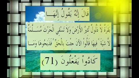 القرآن الكريم سورة البقرة الأية 71.wmv