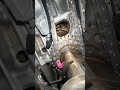 #automobile #mechanic #mechaniclife