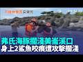 弗氏海豚寶寶擱淺"美崙溪口" 身上2鯊魚咬痕 "不足3月大"弗氏海豚受困 遭達摩鯊攻擊擱淺 憂"野放活不久"海豚安樂死 專家:不是放棄救援｜記者 呂彥 蘇意凡｜三立新聞LIVE