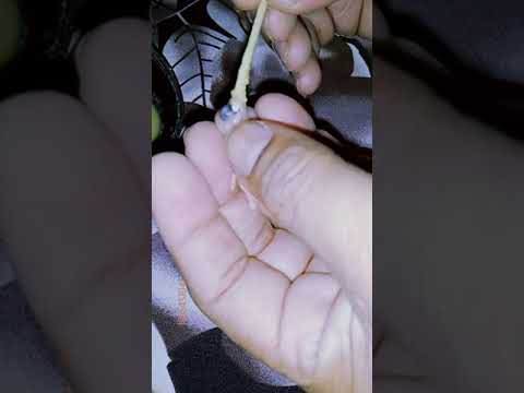 one day baby hand feeding.      one day baby birds feeding ka tarika.