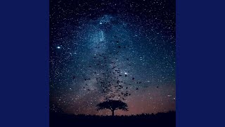 Old Love - KingLik