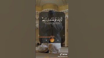 الذين يقيمون الصلاة ماتيسر من سورة لقمان بصوت جميل جدا #قران_كريم #اذكار #الصلاه #الصلاه_على_النبي