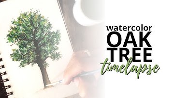 Watercolor Oak Tree Painting: Time Lapse Drawing