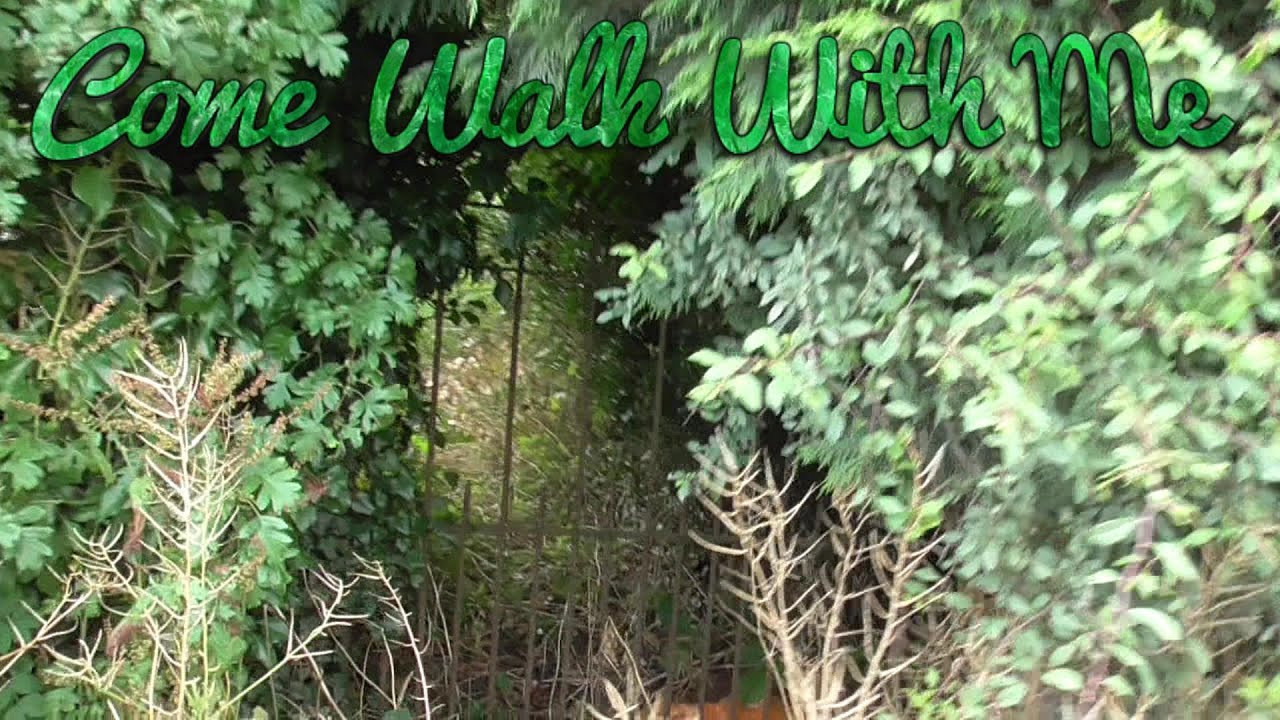 The Most Inaccessible Footpath In Flintshire | Flintshire Circular Walks