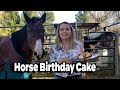 Making a Birthday Cake for a Horse