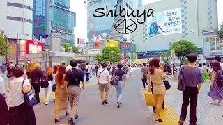 空中散歩 東京散歩】日曜日の渋谷,中心を散歩 4K Shibuya Center walk