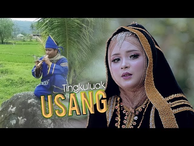 AYU DEWI - Tingkuluak Usang [ Official MV ] Lagu Dendang Minang Terbaru class=