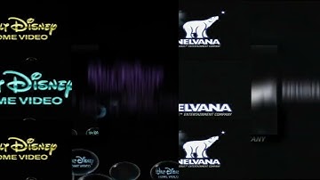 11 Shuric Scans with are slides (My new version)