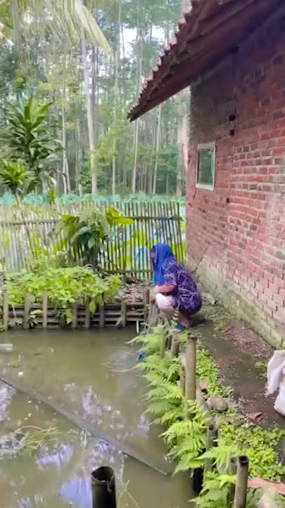 aduh Aya padu cir Kitu 🤣