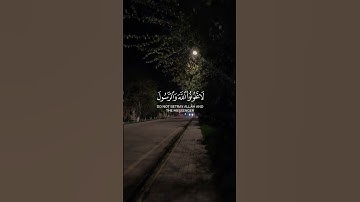 يا ايها الذين امنوا لا تخونوا الله والرسول 🎧✨ | سورة الأنفال - الآية 27