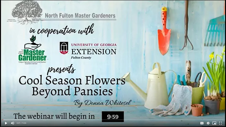 Cool Season Flowers Beyond Pansies