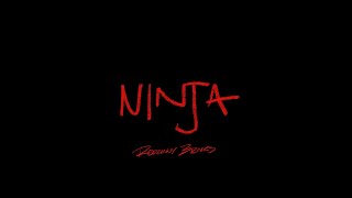 2115 - Ninja