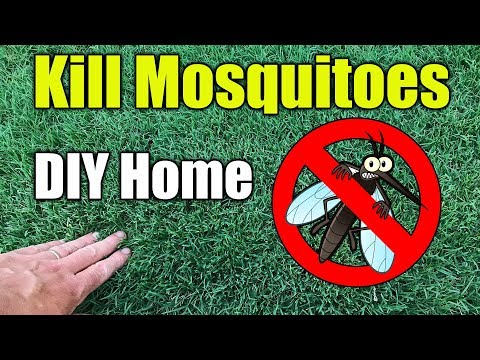 Mosquito Control Home and Yard Spraying