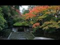 紅葉の京都・滋賀に行ってきた　【法然院～】