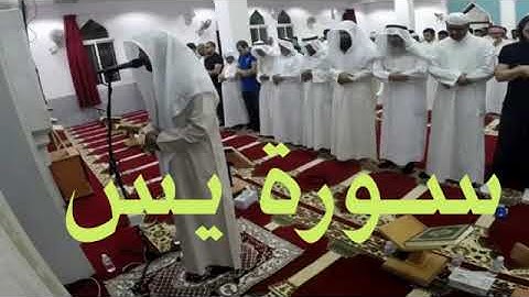 استمع بقلبك لسورة يس بصوت الشيخ محمد صالح اليمني