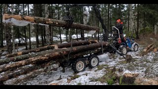 Mini Forwarder, a Troublesome Day in the Woods