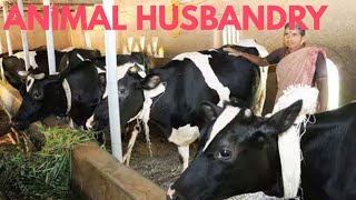 Animal Husbandry class 8 | Take care of animals | DARSHAN CLASSES