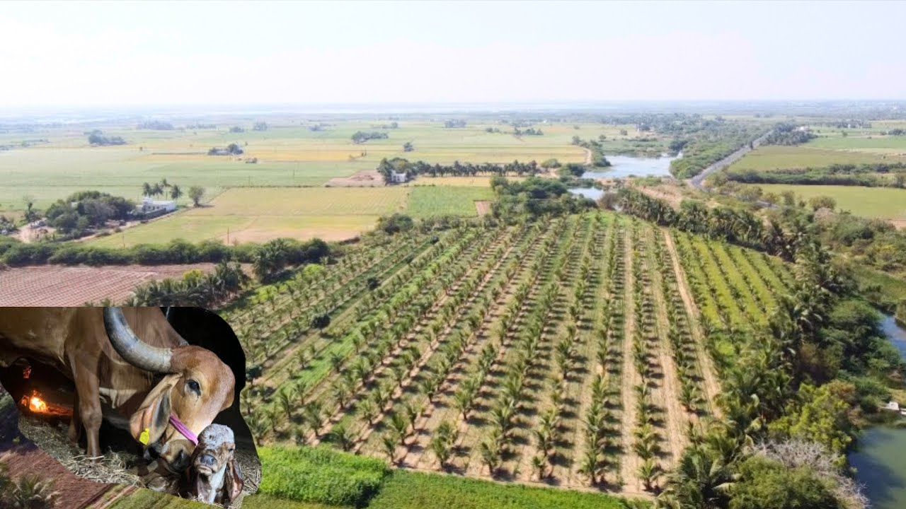 Riddhi kaa baby aa gaya…