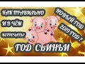 Как и в чём правильно встречать Новый год 2019? Новый год Жёлтой Свиньи по восточному календарю