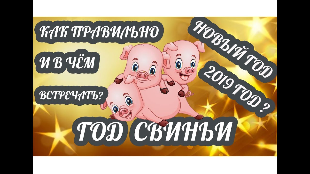А флаг-то был: Медведева показала потайной триколор на куртках олимпийцев картинки А флаг-то был: Медведева показала потайной триколор на куртках олимпийцев картинки