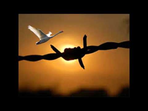 Вася Бриллиант Русский Шансон 2016