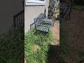 The Spring Weeds Are Out Of Control! #gardeningshorts
