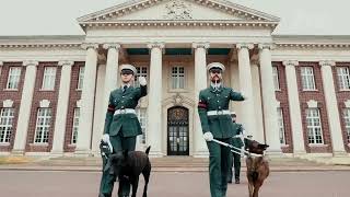 RAF Force Protection Force  Police Dog Display Team