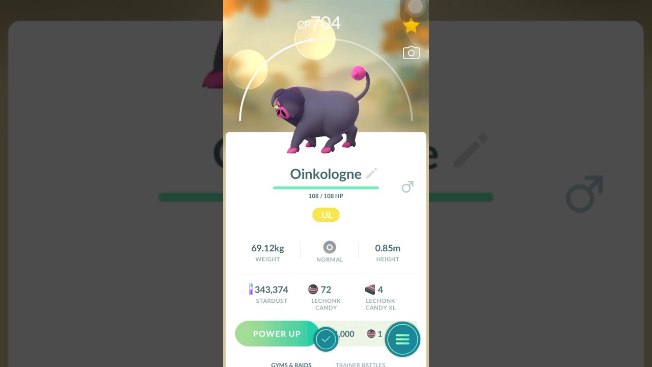 Evolving Male Lechonk | Pokémon Go